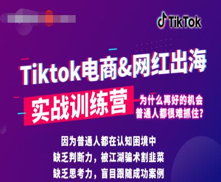 0基础学习抖音国际版TikTok海外短视频新手实战训练营【视频课】