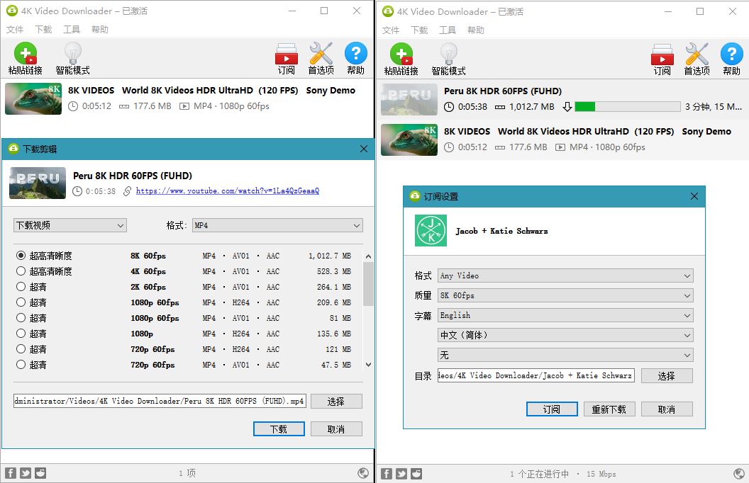 4K视频下载器 4K Video Downloader v4.21.0.4970