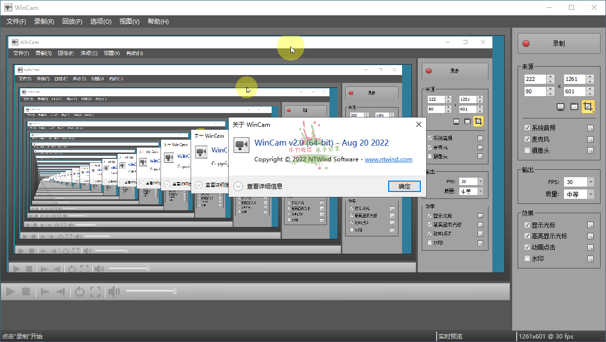 WinCAM屏幕录像 v3.3.0 中文版