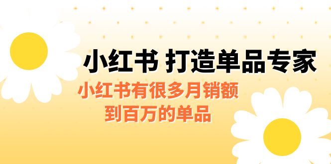 公众号付费文章《小红书 打造单品专家》小红书有很多月销额到百万的单品