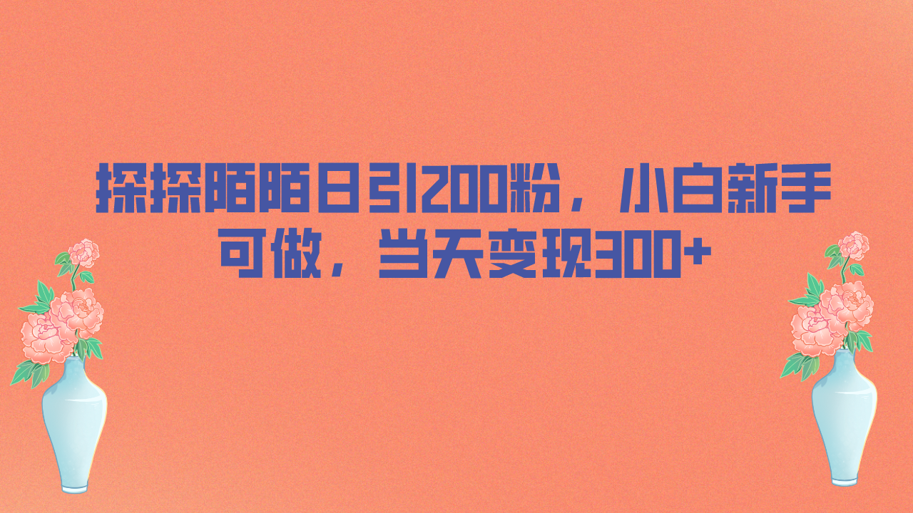 探探陌陌日引200粉，小白新手可做，当天就能变现