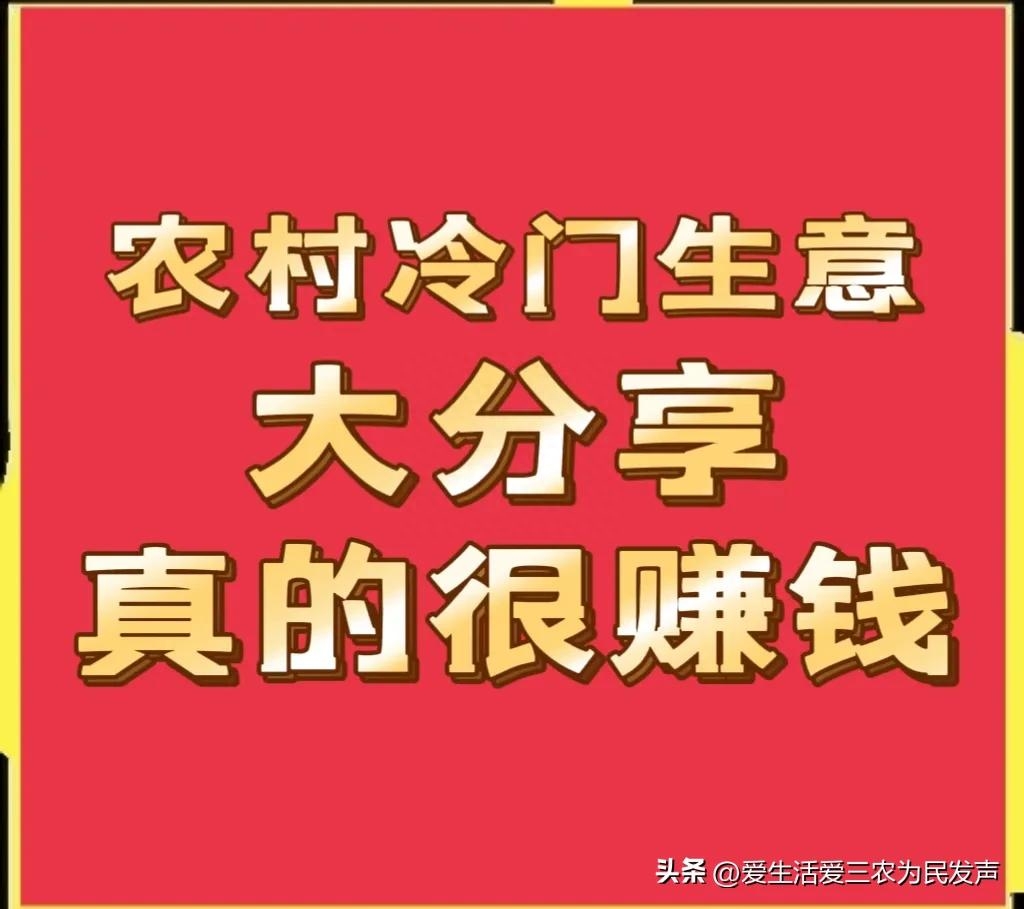 农村最能挣钱的冷门生意有哪些？四个农村冷门生意，投资几千元就可以做