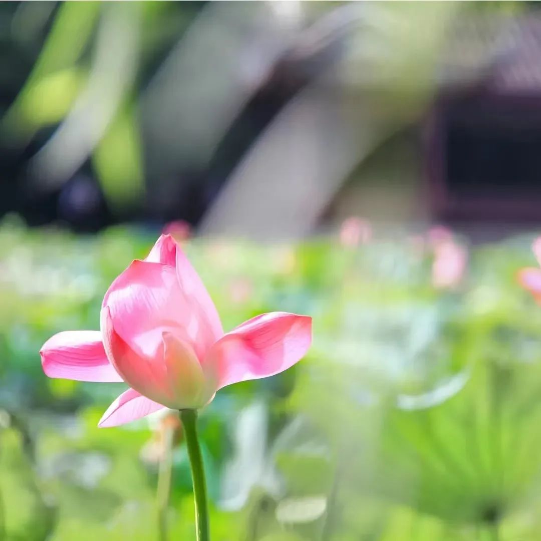 天气预报一周内-未来一周天气预报