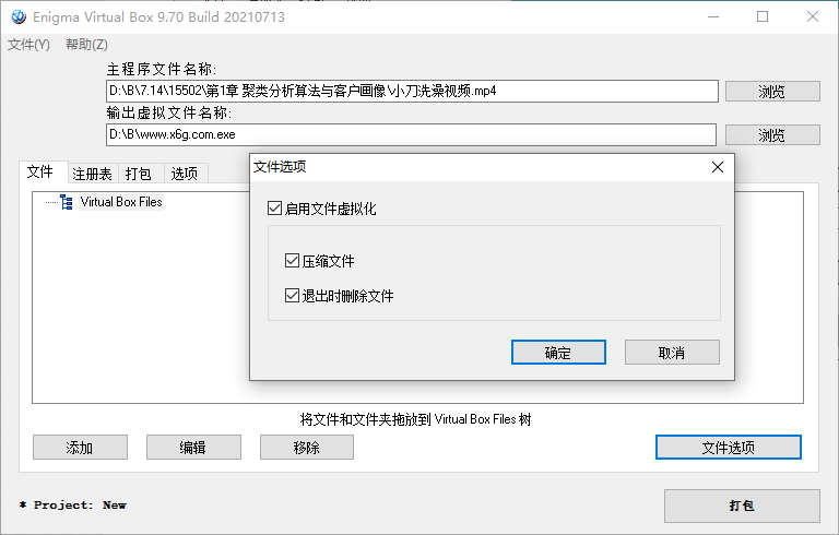 Enigma Virtual Box v10.60汉化版