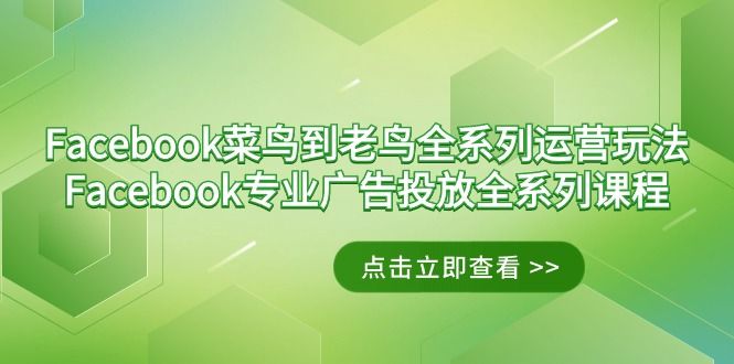 Facebook-菜鸟到老鸟全系列运营玩法+Facebook-专业广告投放全系列课程