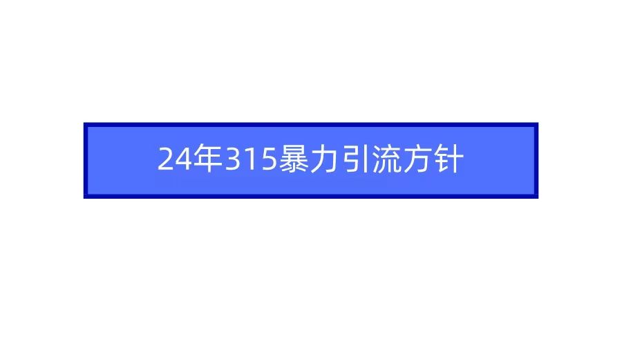 2024年315暴力引流方针