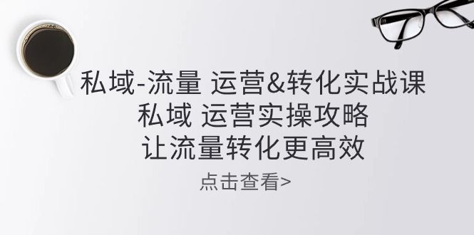 私域-流量 运营&amp;amp;转化实操课：私域 运营实操攻略 让流量转化更高效