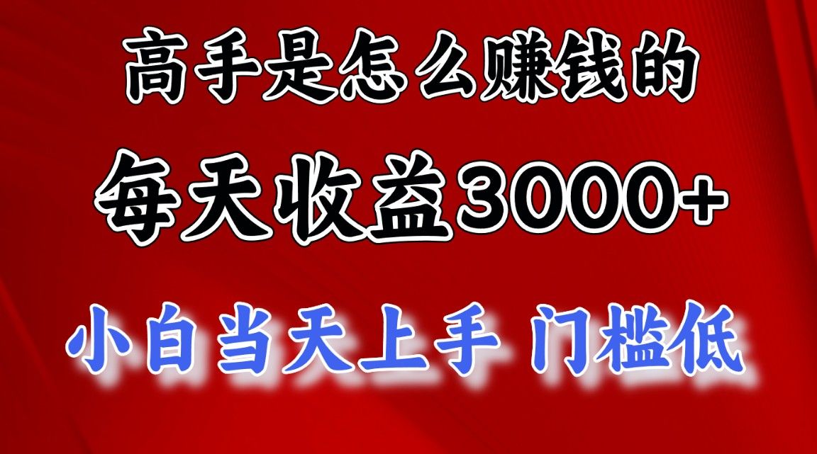 1天收益3000+，月收益10万以上，24年8月份爆火项目