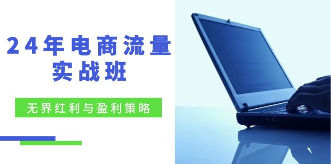 24年电商流量实战班：无界 红利与盈利策略，终极提升/关键词优化/精准