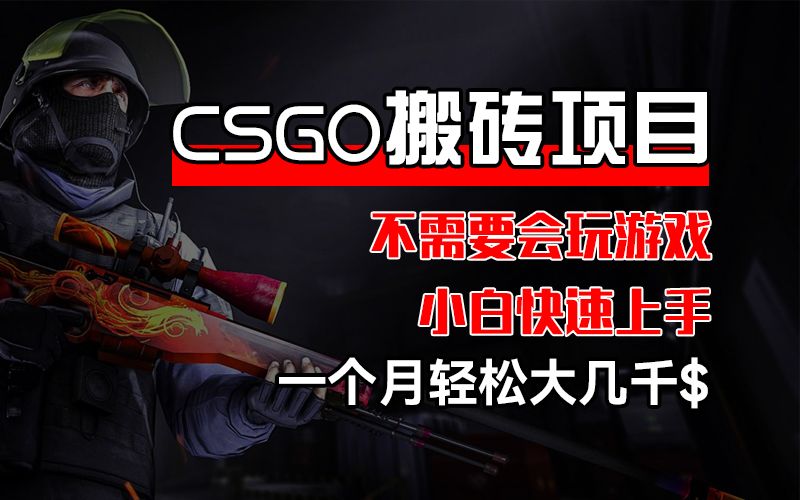 CSGO 装备搬砖项目，操作简单，不需要会玩游戏，小白也能快速上手