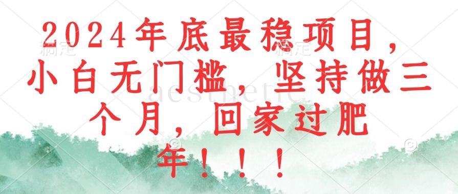 2024年底最稳项目，小白无门槛，坚持做三个月，回家过肥年！！！