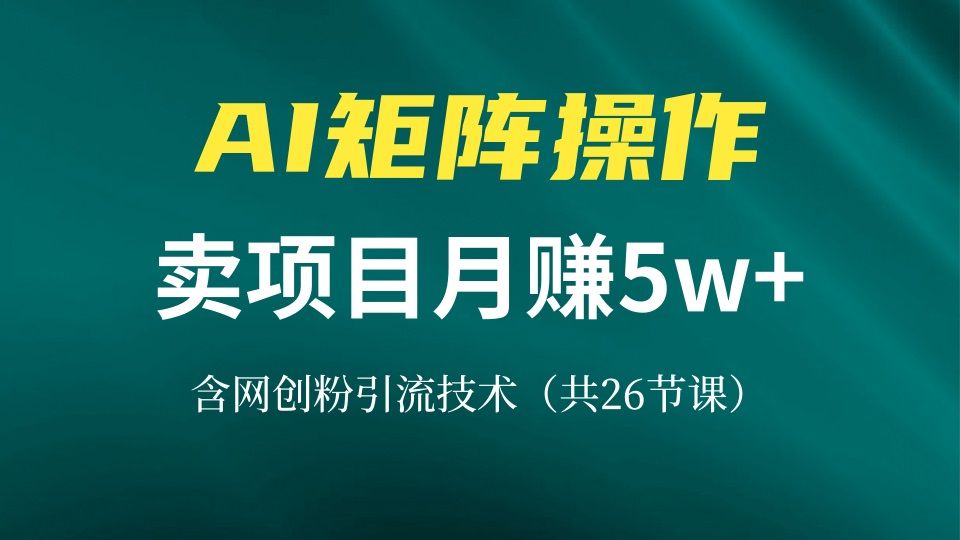 网创IP打造课，借助AI卖项目月赚5万+，含引流技术（共26节课）