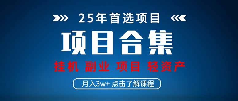 2025 实操项目合集 挂机类型 直播类型 轻资产创业类型 课程分享各项目