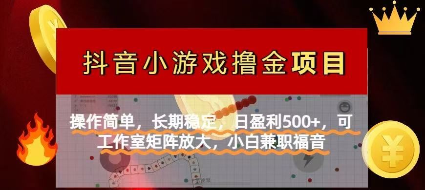 【抖音小游戏发行人计划项目】操作简单，长期稳定，日盈利500+，可工作