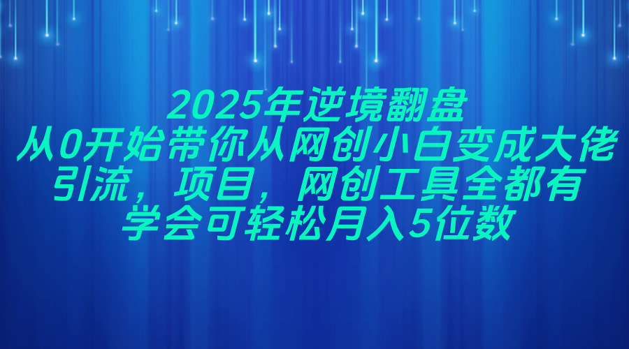 2025年逆境翻盘，从0开始带你从网创小白变成大佬，引流，项目，网创工
