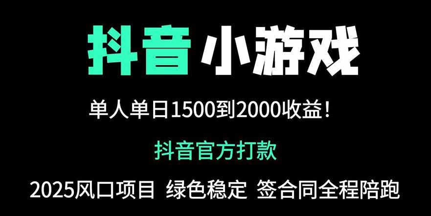 抖音官方小游戏2025全网最新玩法，暴利赚钱项目，单机日入2000+，绝不