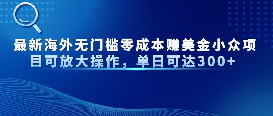 最新海外无门槛零成本赚美金小众项目可放大操作，单日可达300+