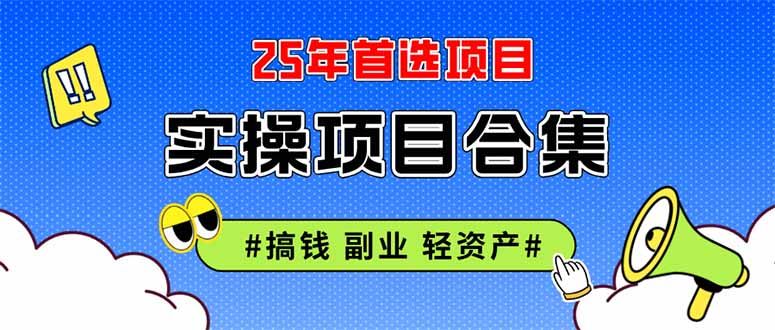 2025实操项目合集 挂机类型 直播类型 轻资产创业类型 课程分享各项目介