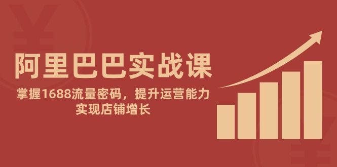 阿里巴巴实战课：掌握1688流量密码，提升运营能力，实现店铺增长
