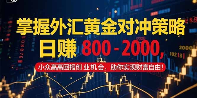 掌握外汇黄金对冲策略，日赚 800 - 2000，小众高回报创业机会，助你实