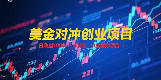 美金对冲创业项目，日收益 1000 - 4000，小众暴力项目